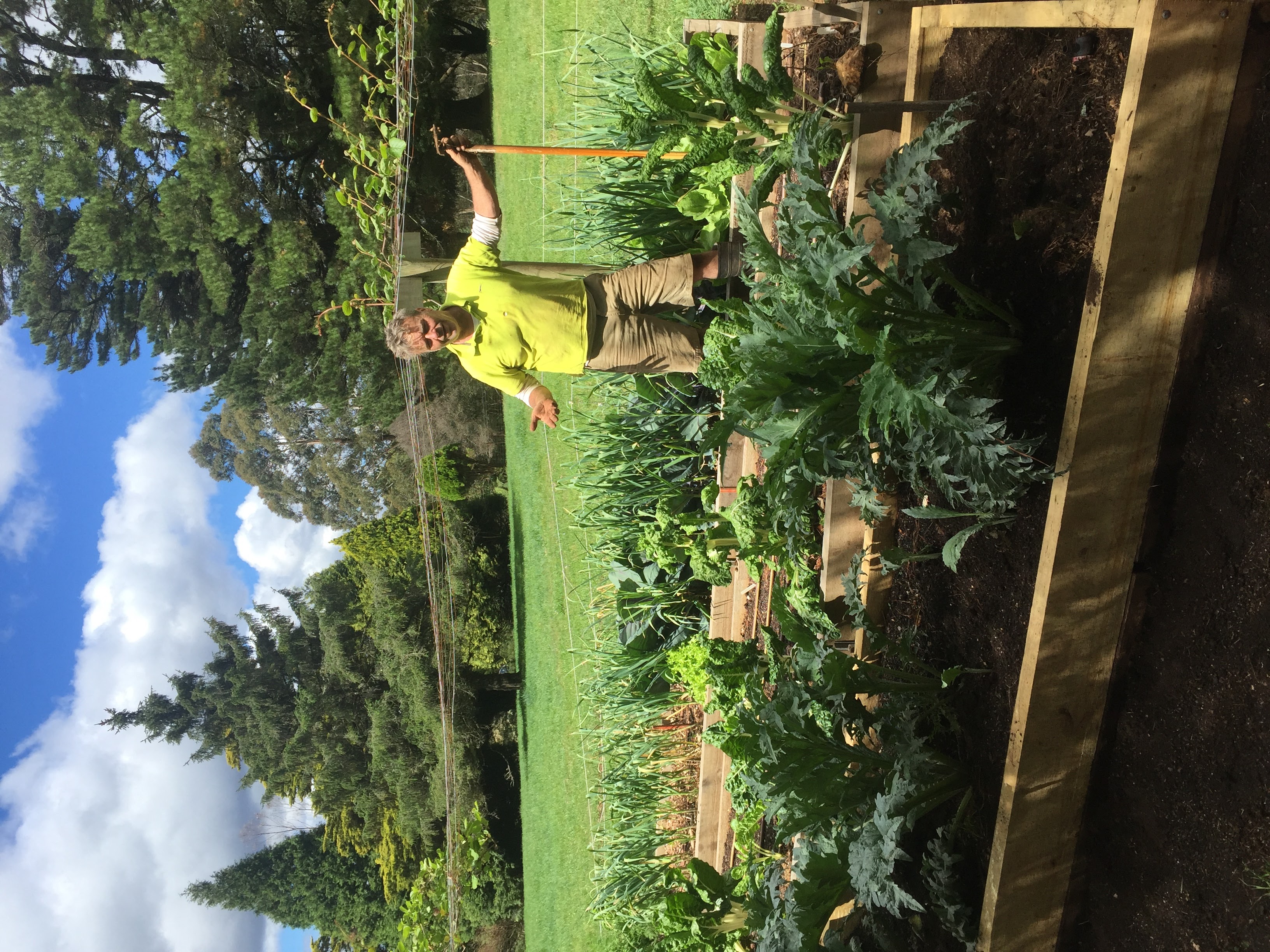 Vegetbe Garden Hunters Hill.