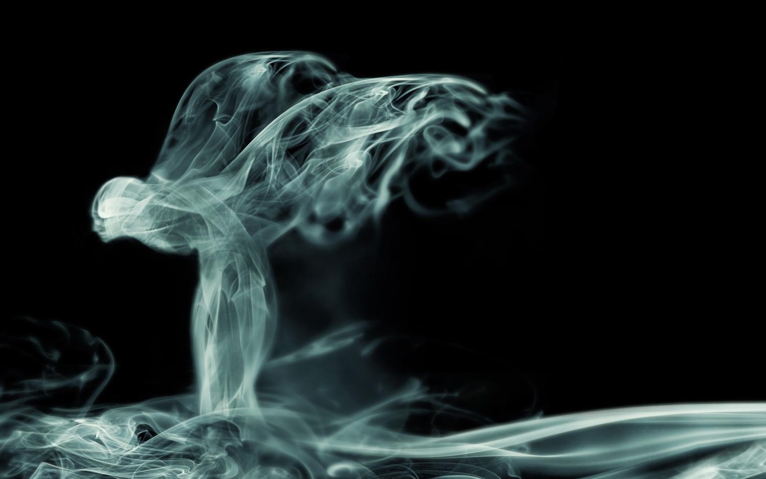 Vegetable Garden Hunters Hill.